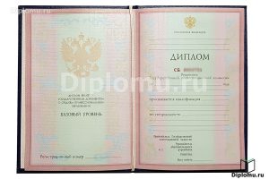 Диплом техникума / колледжа 2004-2006 года